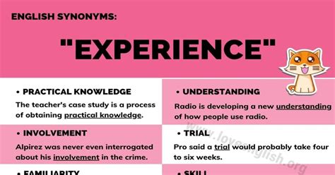 experience synonym|better word for experience.